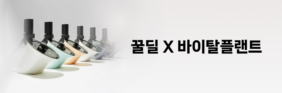 [꿀딜 X 바이탈플랜트]롤팬 뉴오리지널 6종
