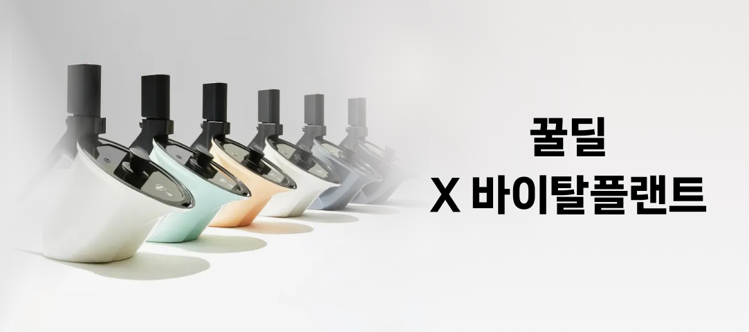 [꿀딜 X 바이탈플랜트]롤팬 뉴오리지널 6종